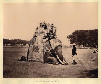 H. E. [His Excellency] The Viceroy's Elephant