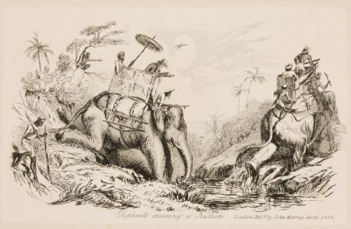 Elephants Crossing a Nullah