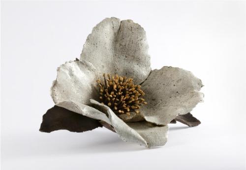 White Wild Kerria Rose