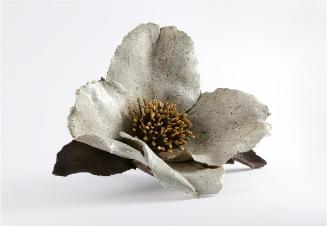White Wild Kerria Rose