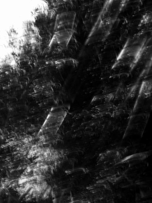 A Pilgrimage through Light & Spells - Bamboo Mantra II