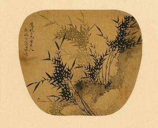 Bamboo