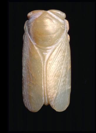 Pendant in the shape of a cicada