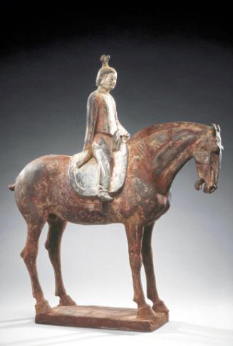 Horse and rider