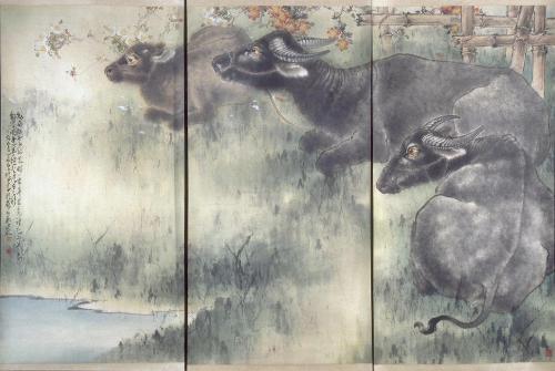 Buffalos at Rest