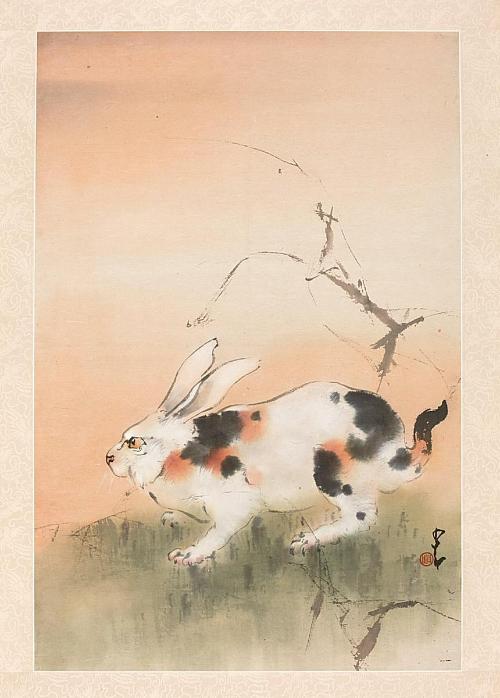 A Wily Rabbit in an Autumn Field