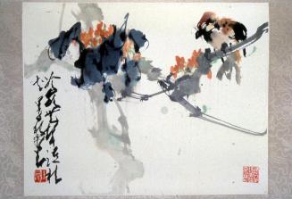 Osmanthus