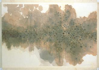 Songs of a Tortoise (Guga)