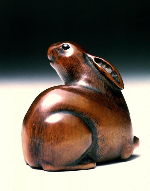 Rabbit