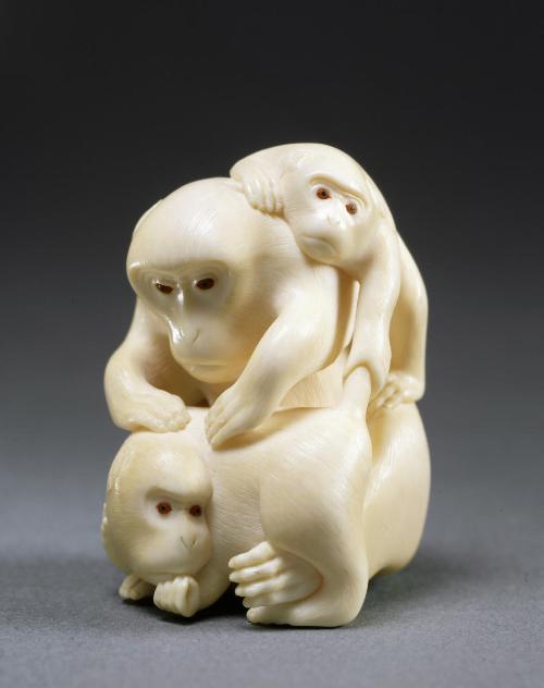 Monkey Family