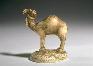 Camel