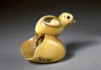 Chick hatching