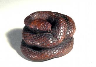 Coiled snake