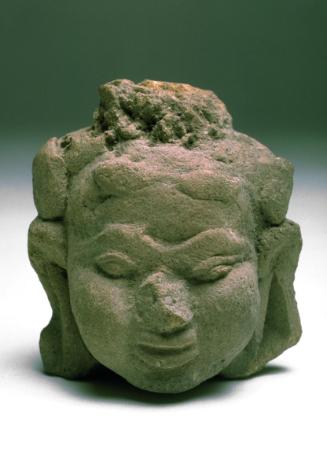 Head