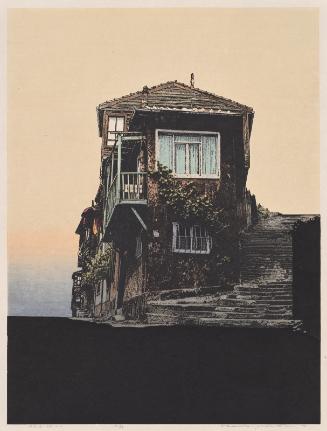 House on Slope-Istanbul