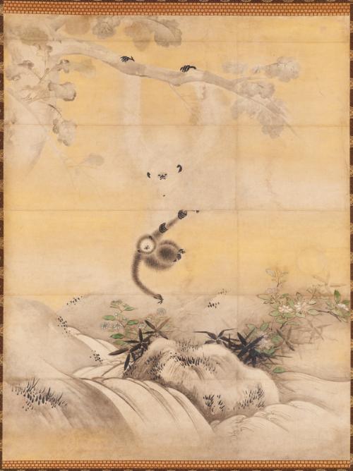 Gibbons playing in oak trees, one of a pair