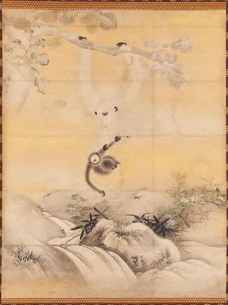 Gibbons playing in oak trees, one of a pair