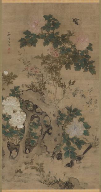Peonies, Roses and Bizarre Rock