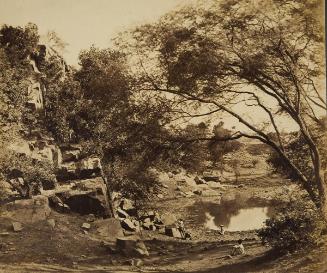 ? nest (?) Battery, Delhi