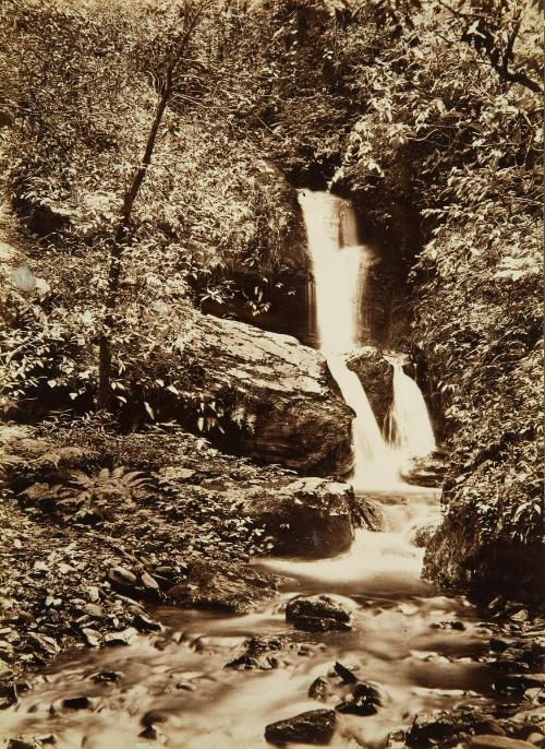 Waterfall at the Glen, Simla