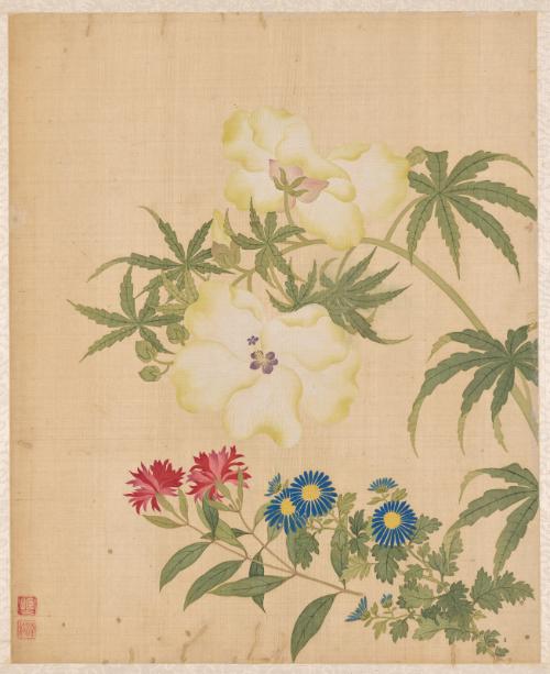Yellow Hibiscus and Aster, from the Flowers of the Twelve Months: October