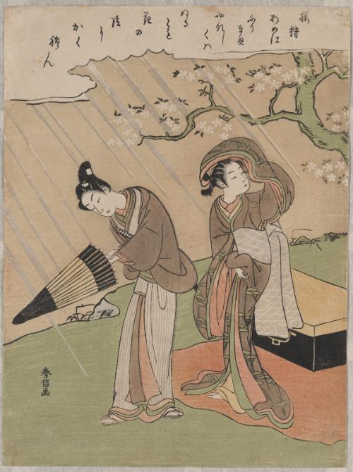 Hunting cherry blossoms