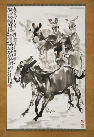 Donkeys