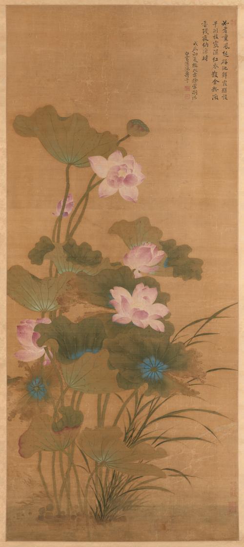 Summer Lotus