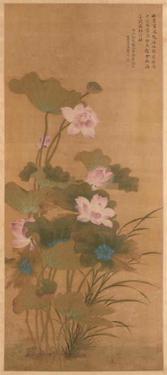 Summer Lotus