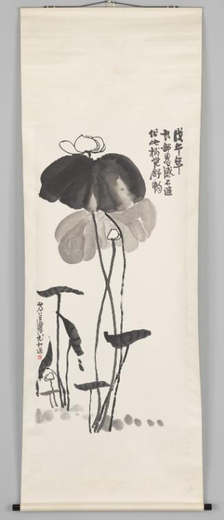 Lotus