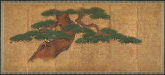 Pine trees