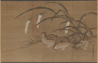 Quail and millet