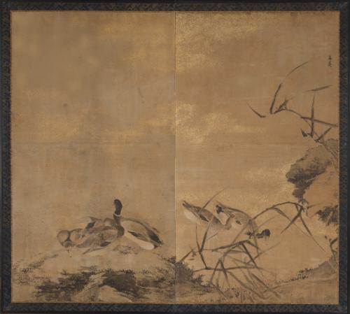 Reeds and ducks