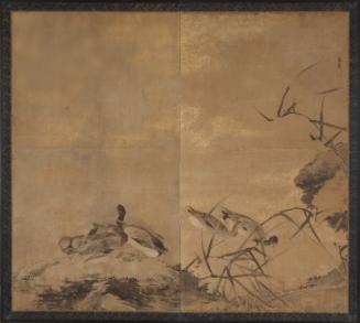Reeds and ducks
