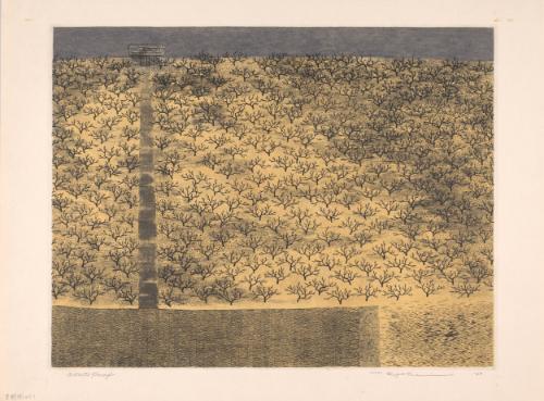 Orchard No. 1