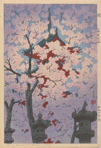 Blooming Cherry at Toshogu Shrine, Ueno
