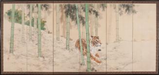 Tiger and bamboo