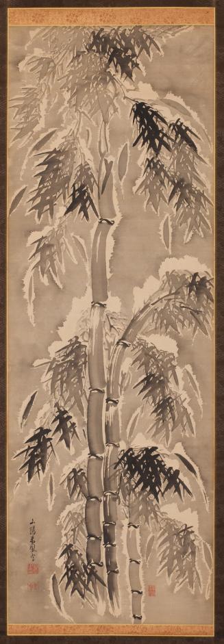 Bamboo in snow