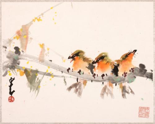 Birds in Spring