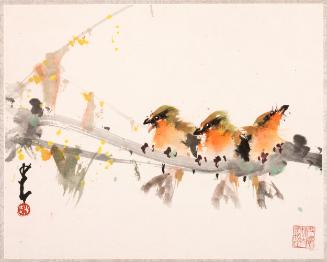 Birds in Spring