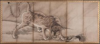 Tiger (pair with B60D53+)