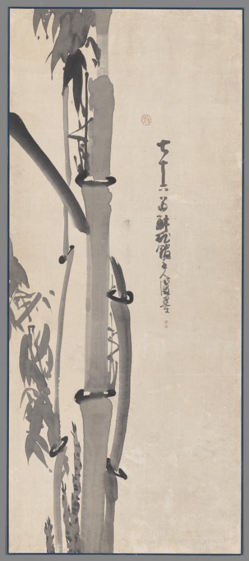 Bamboos