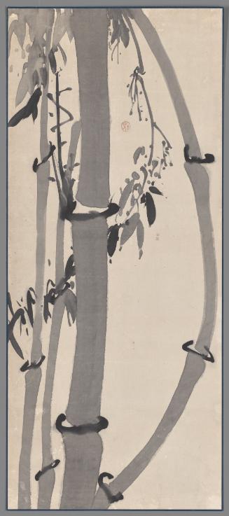 Bamboos