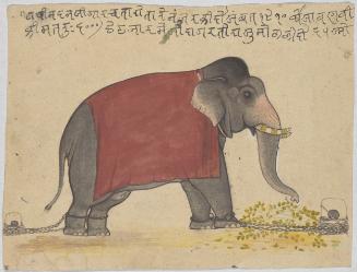 Madhanji, an elephant