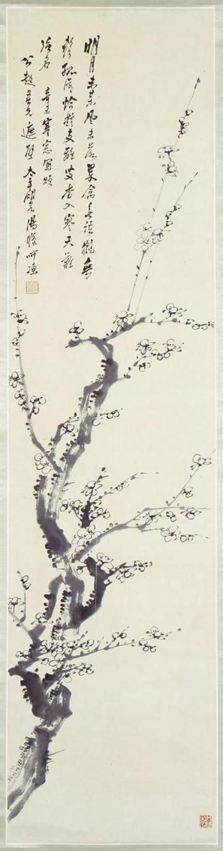 Apricot Blossoms