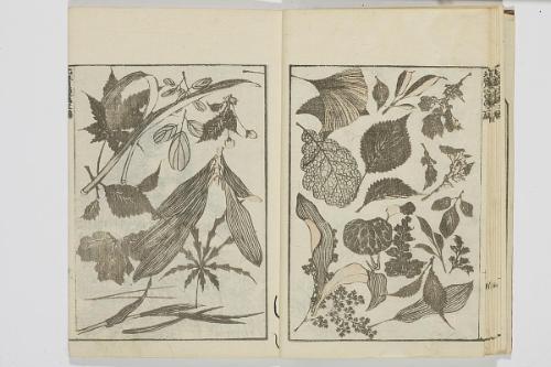 Random sketches by Hokusai (Hokusai manga), vol. 3